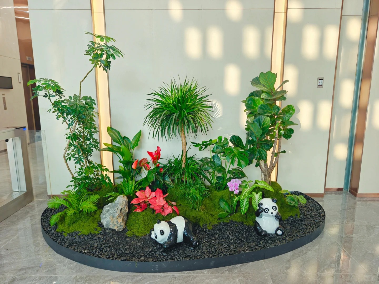 体验慈溪花木租摆,优质服务,让绿植焕发生机!